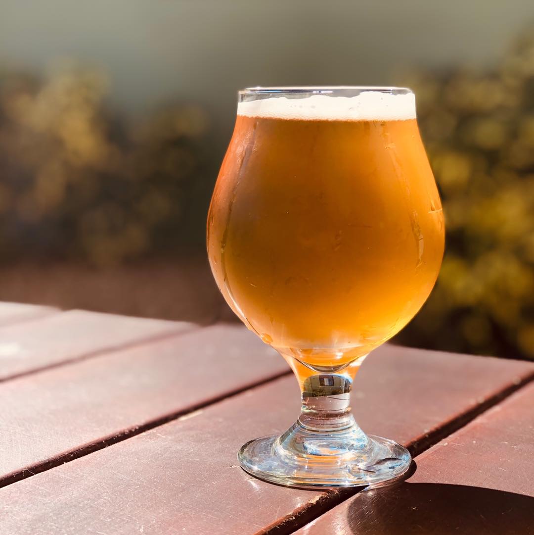 Tampa Bay Beer Week Pinellas Ale Works
