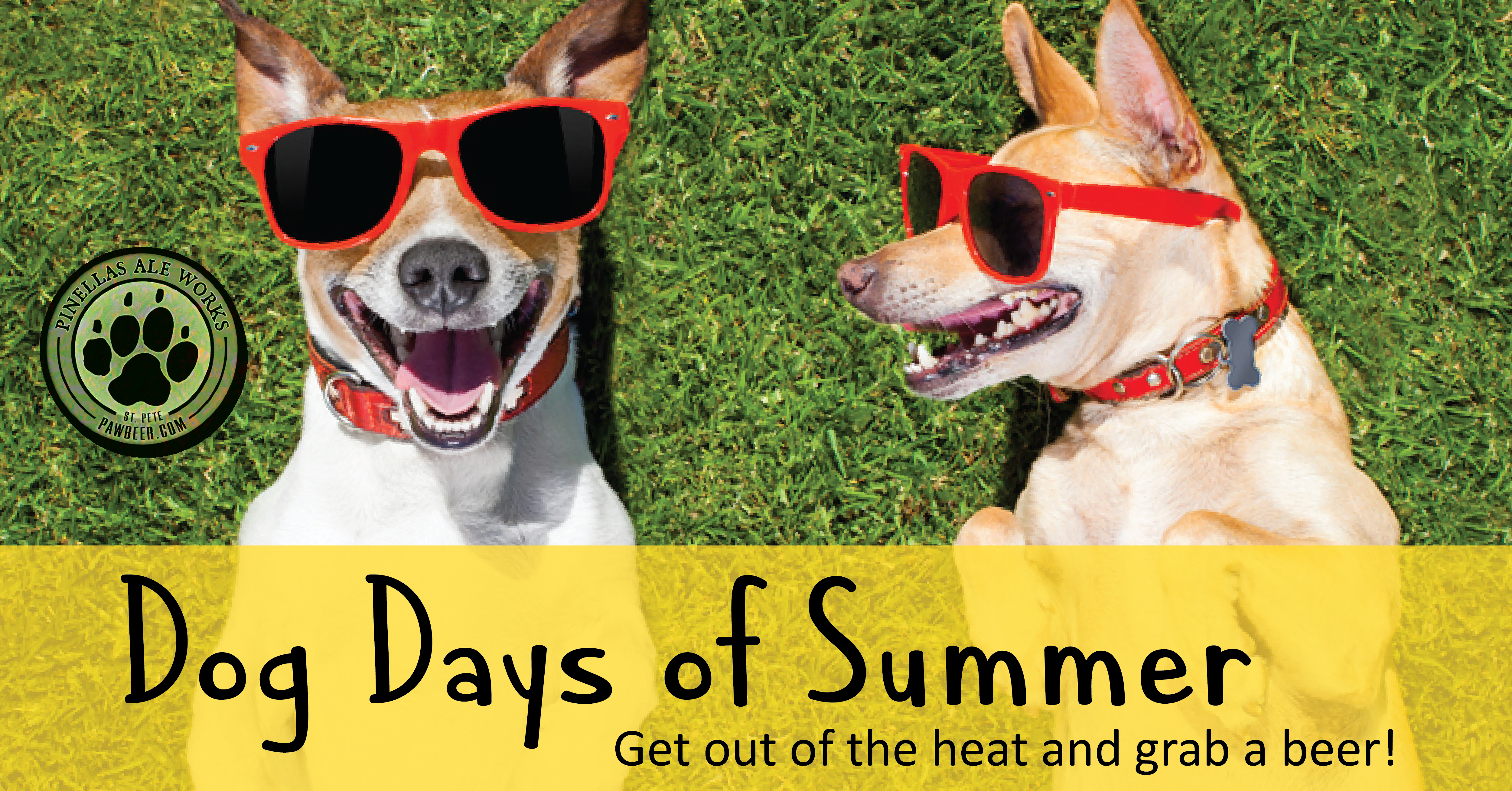 Dog Days Of Summer Pinellas Ale Works
